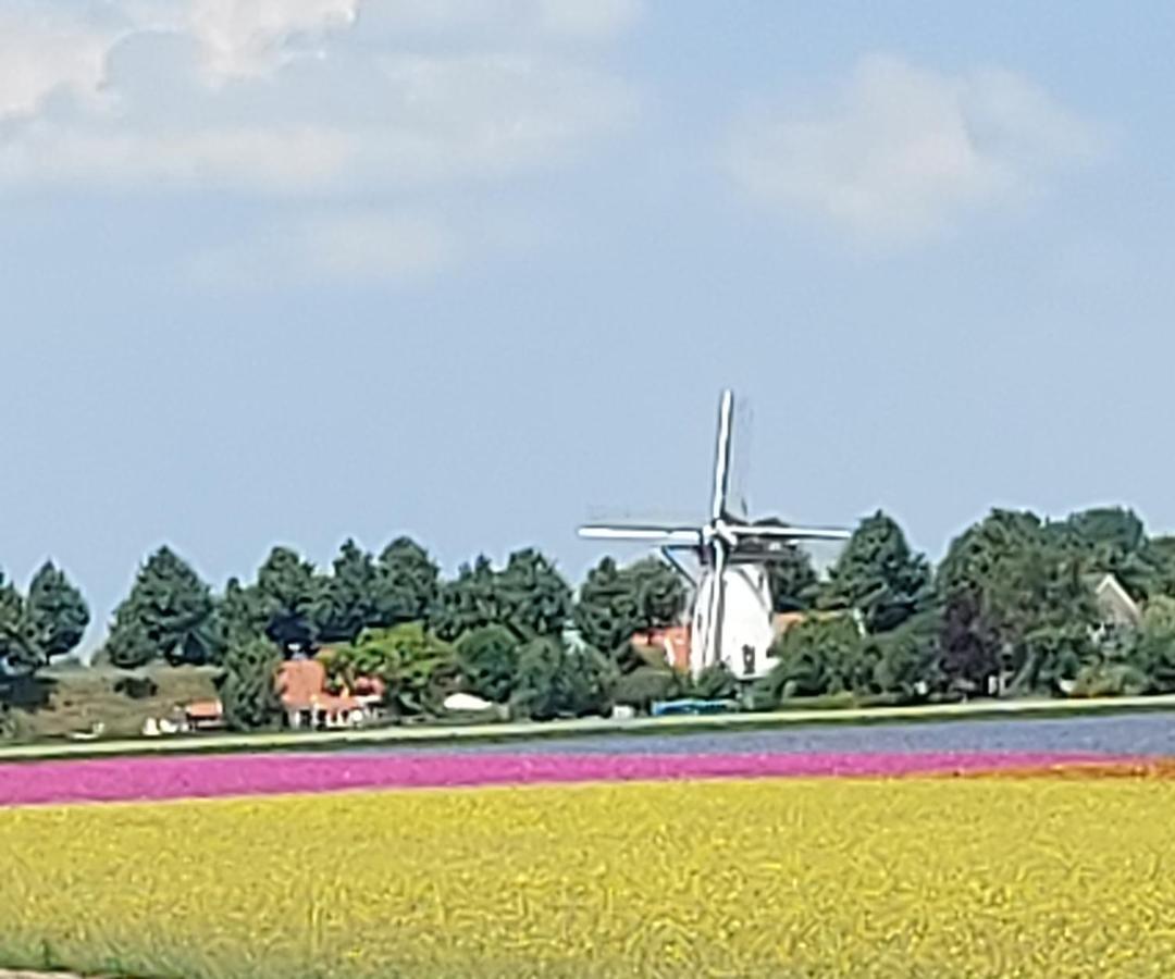 De Nieuwe Stal Lejlighed Scherpenisse Eksteriør billede
