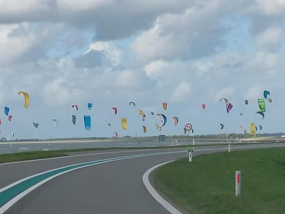 De Nieuwe Stal Lejlighed Scherpenisse Eksteriør billede