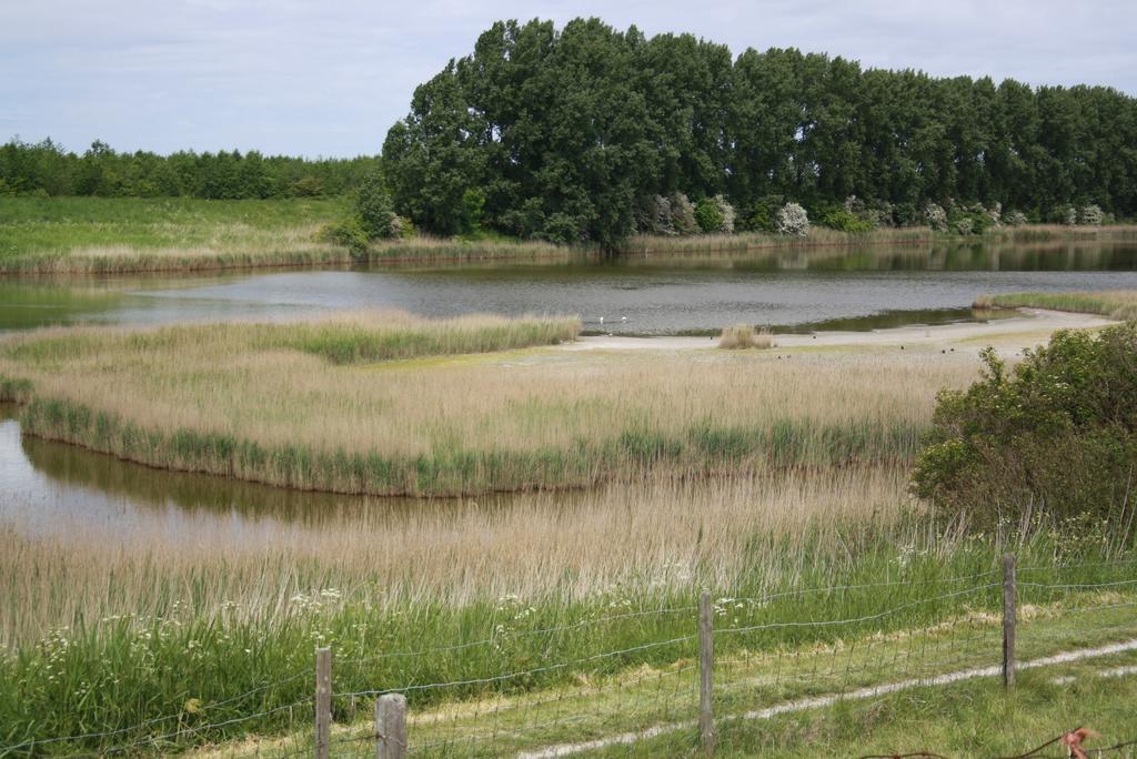 De Nieuwe Stal Lejlighed Scherpenisse Eksteriør billede