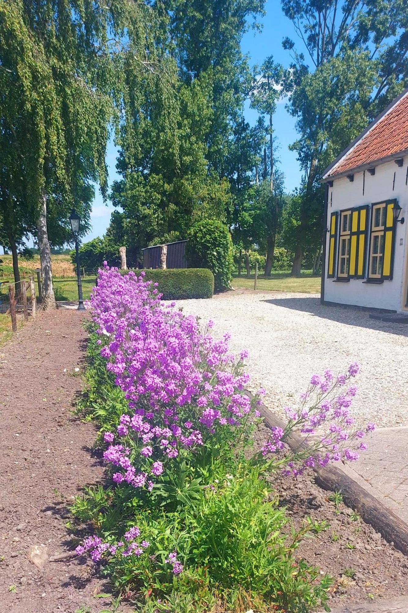 De Nieuwe Stal Lejlighed Scherpenisse Eksteriør billede
